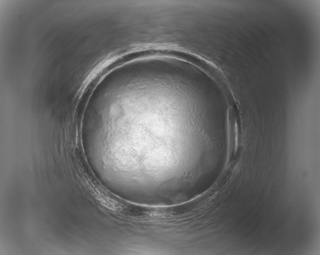 X0000086261271200703291424
