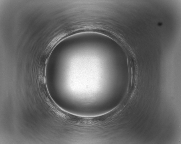 X0000086261273200703291424