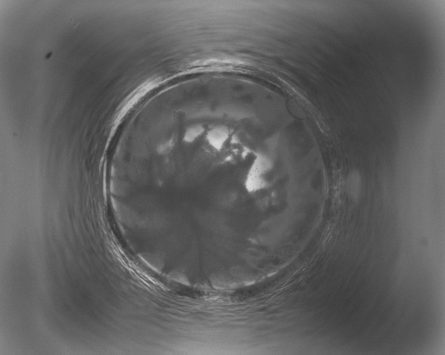 X0000086261275200703291423