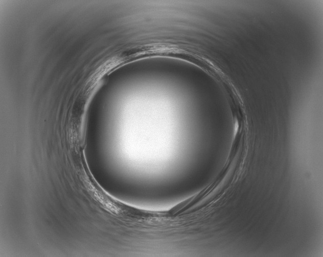 X0000086261281200703291423