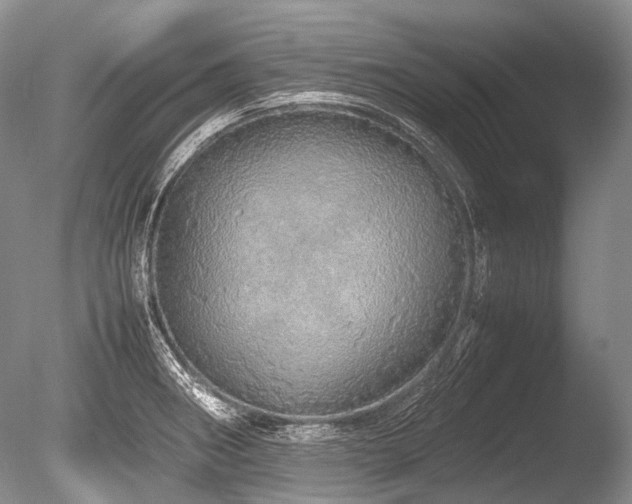 X0000086261282200703291423