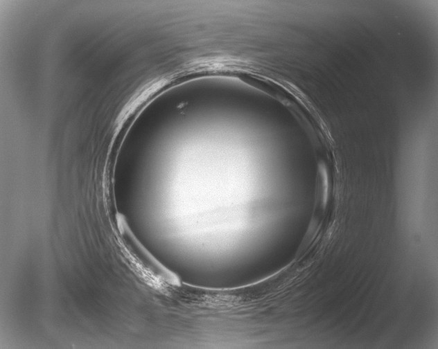 X0000086261285200703291423