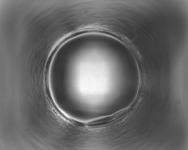 X0000086261288200703291423