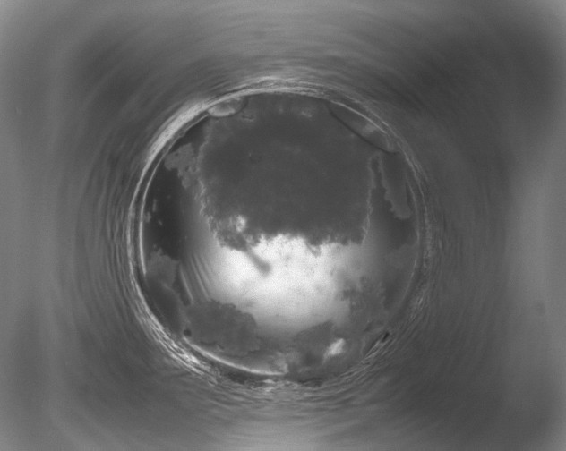 X0000086261291200703291423