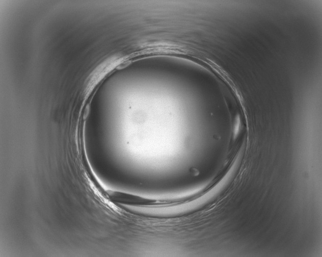 X0000086261293200703291423
