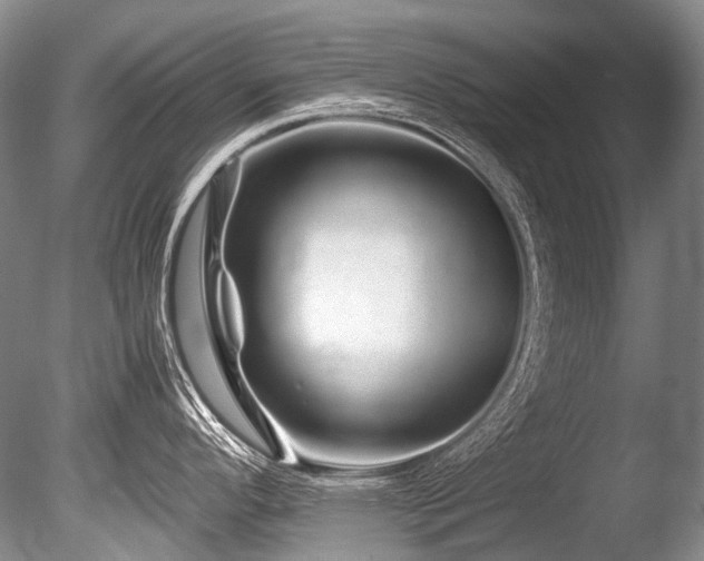 X0000086261296200703291423