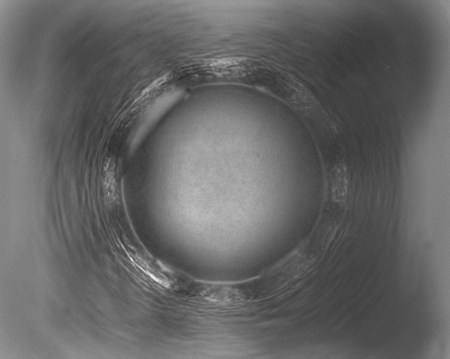 X0000086261298200703291422