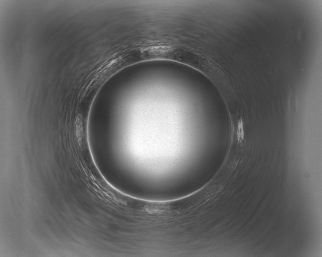 X0000086261299200703291422