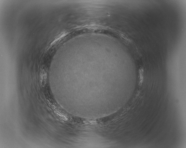 X0000086261302200703291422