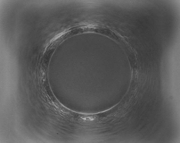 X0000086261303200703291422
