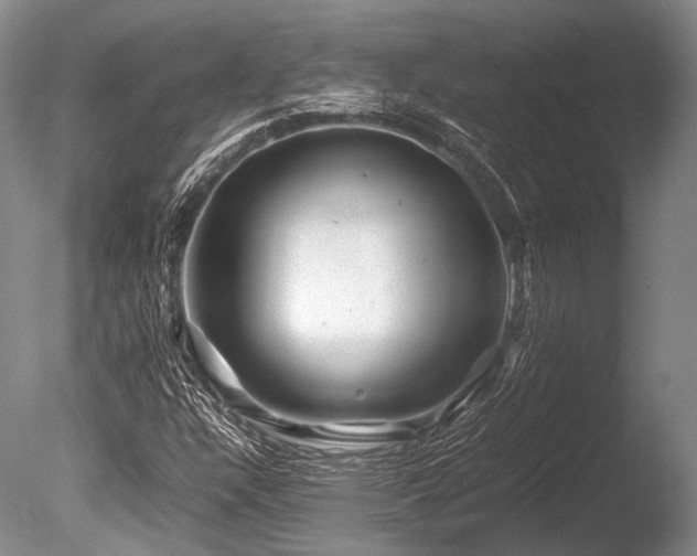 X0000086261304200703291422