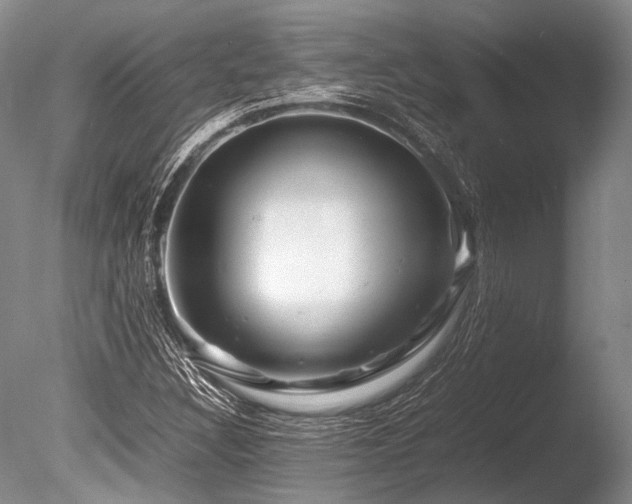 X0000086261308200703291422
