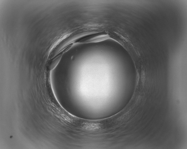 X0000086261309200703291422