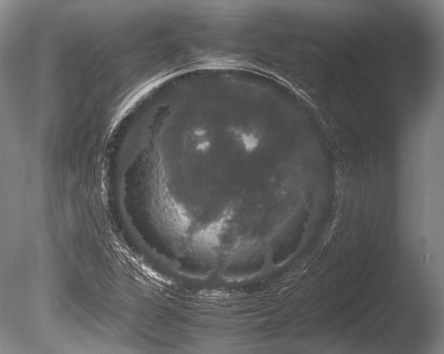 X0000086261311200703291423