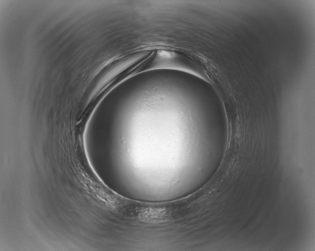 X0000086261313200703291423