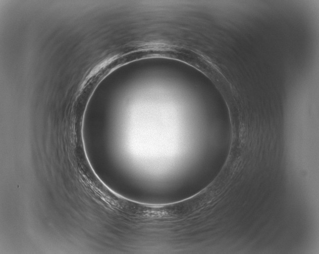 X0000086261315200703291423