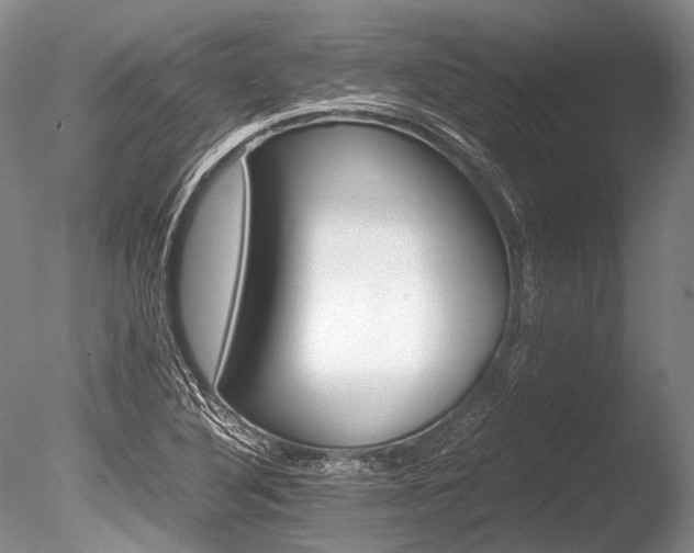X0000086261316200703291423