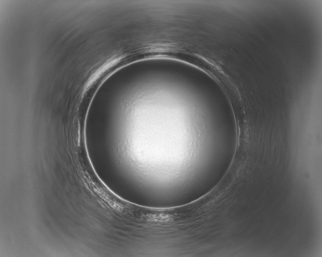 X0000086261317200703291423