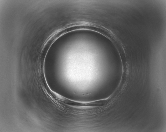X0000086261318200703291423