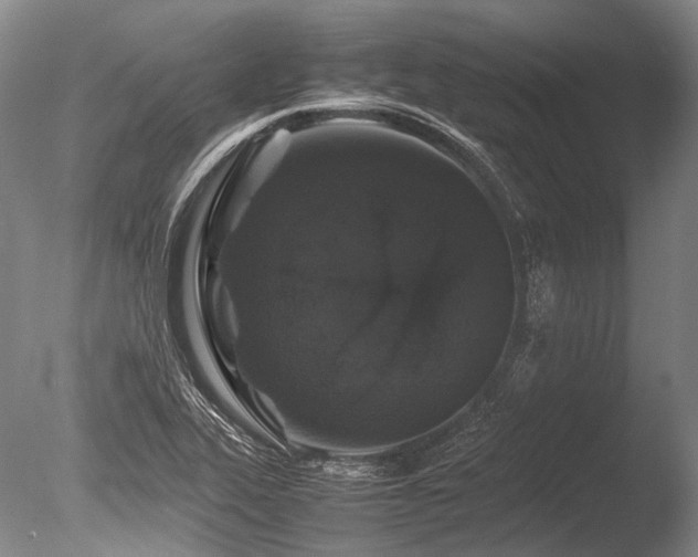 X0000086261319200703291423