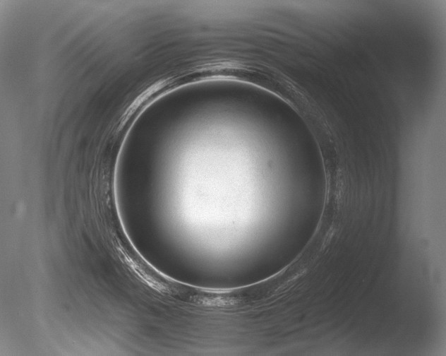 X0000086261321200703291423