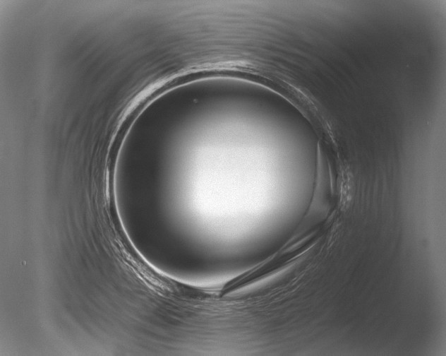X0000086261324200703291423