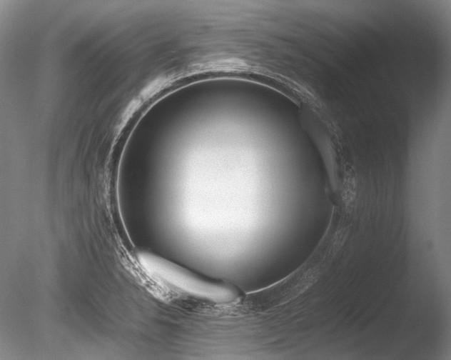 X0000086261326200703291423