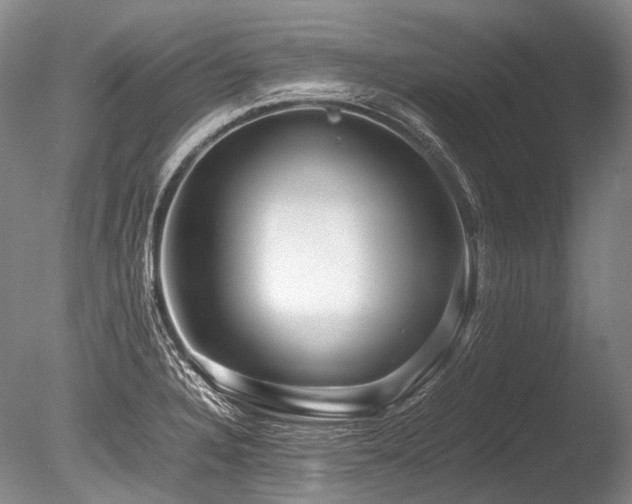 X0000086261328200703291423