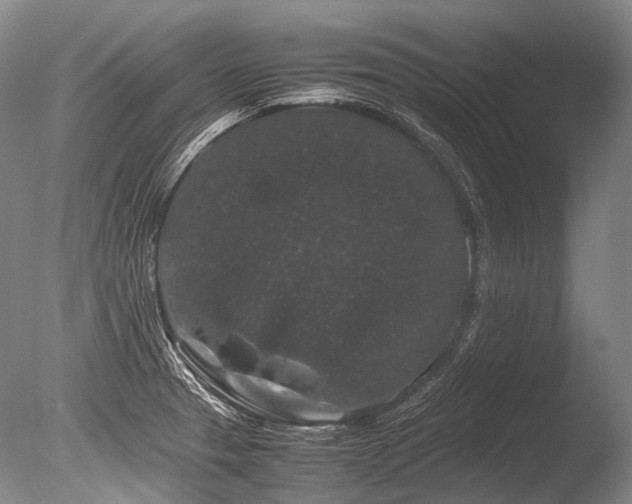X0000086261329200703291423