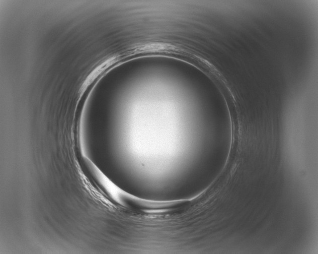 X0000086261330200703291423