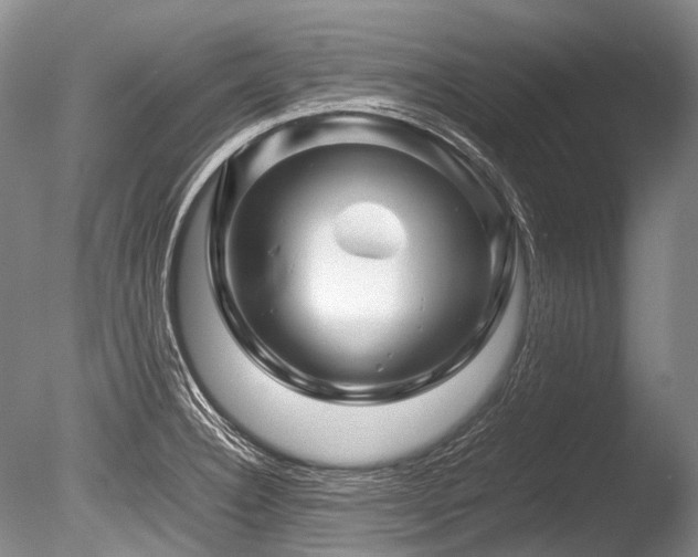 X0000086261332200703291423