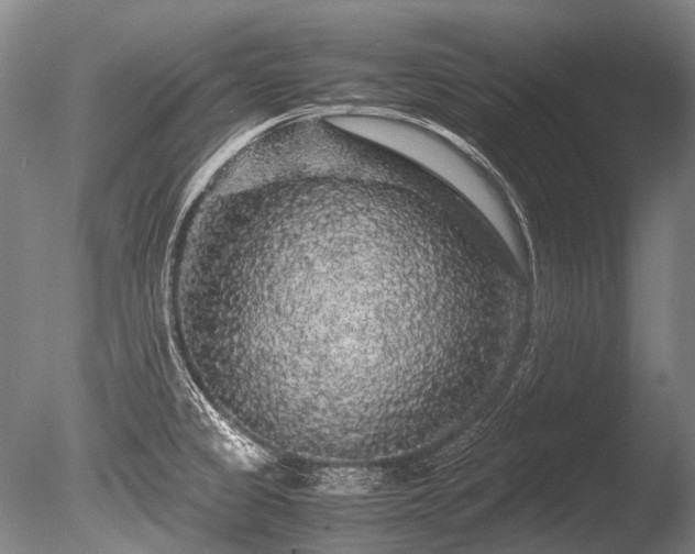X0000086261333200703291423