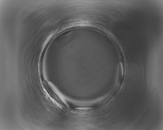 X0000086261334200703291423