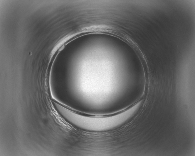X0000086261336200703291423