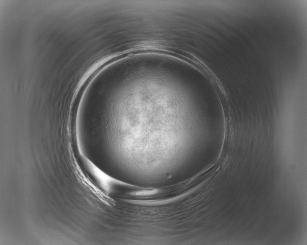 X0000086261339200703291423