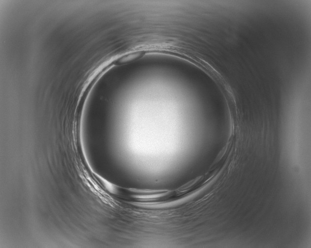 X0000086261340200703291423