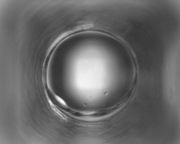 X0000086261342200703291423