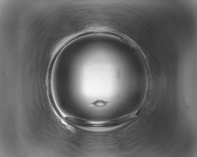 X0000086261343200703291423