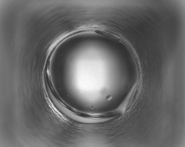 X0000086261344200703291423