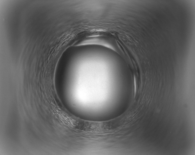 X0000086261345200703291422