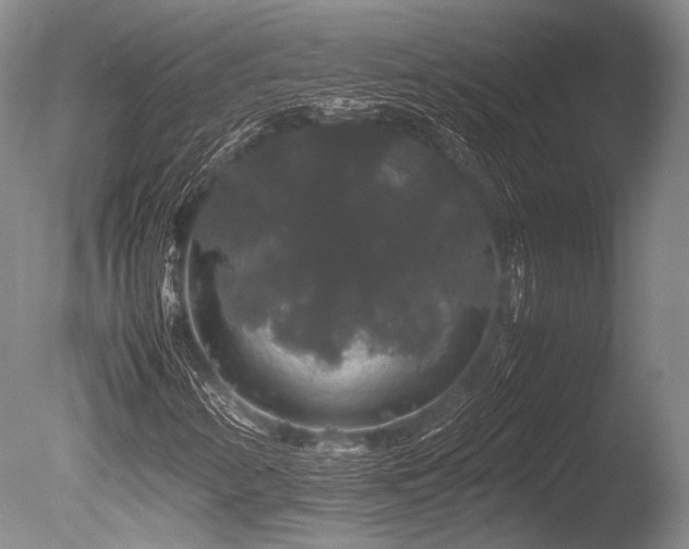 X0000086261346200703291422