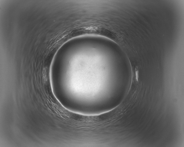 X0000086261347200703291422