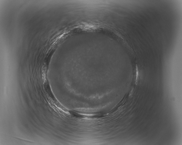 X0000086261348200703291422