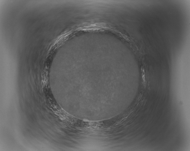 X0000086261350200703291422