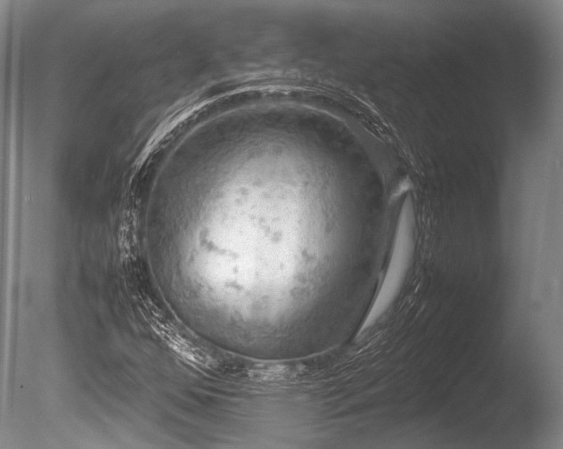 X0000086261352200703291422