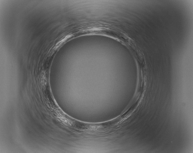 X0000086261353200703291422