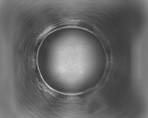 X0000086261354200703291422