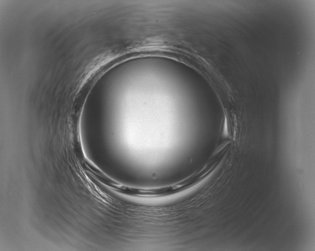 X0000086261356200703291422
