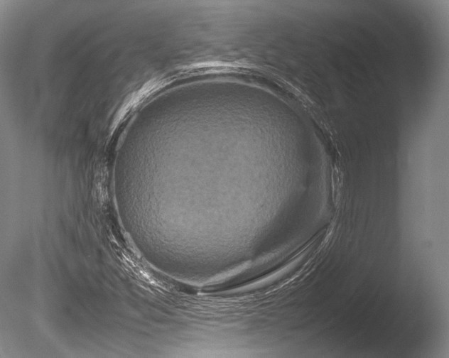 X0000086261357200703291422