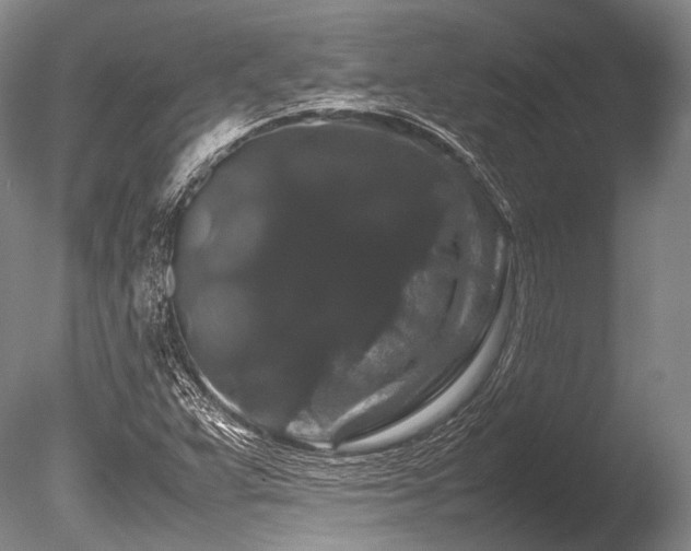 X0000086261359200703291422